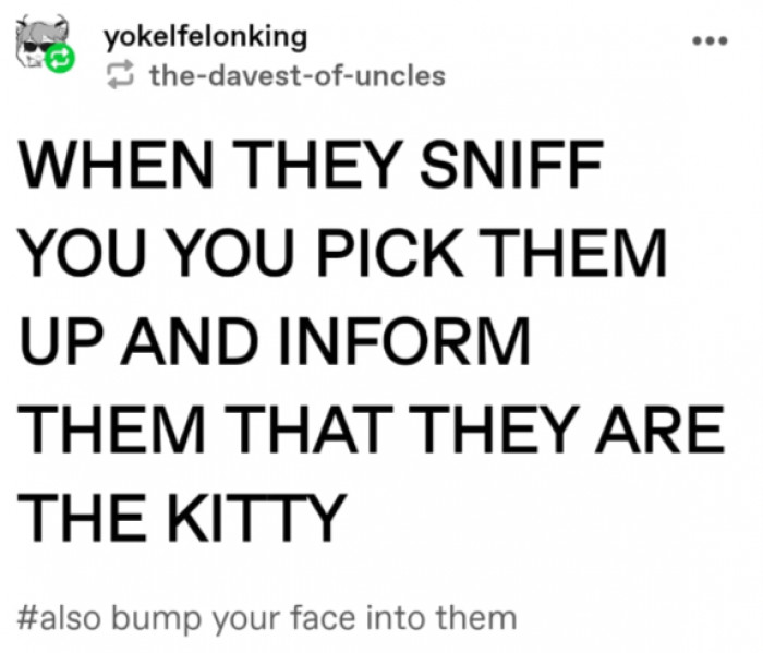 4. Pick them up when they sniff you