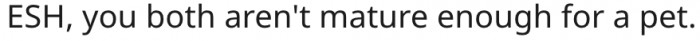 6. They are not ready to own a dog.