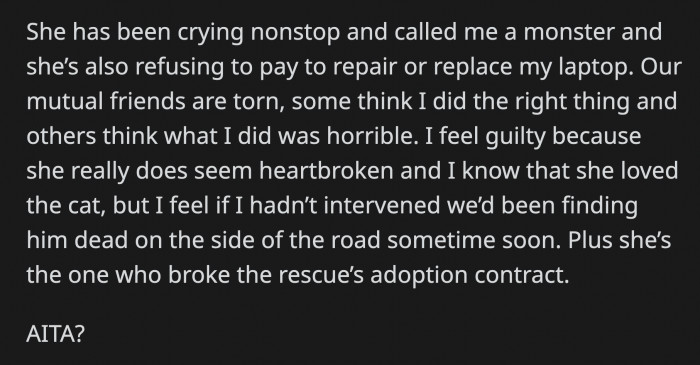 She yelled at OP, broke her laptop, and tried to get the cat back until the rescue blacklisted her from adopting any animals from them in the future.