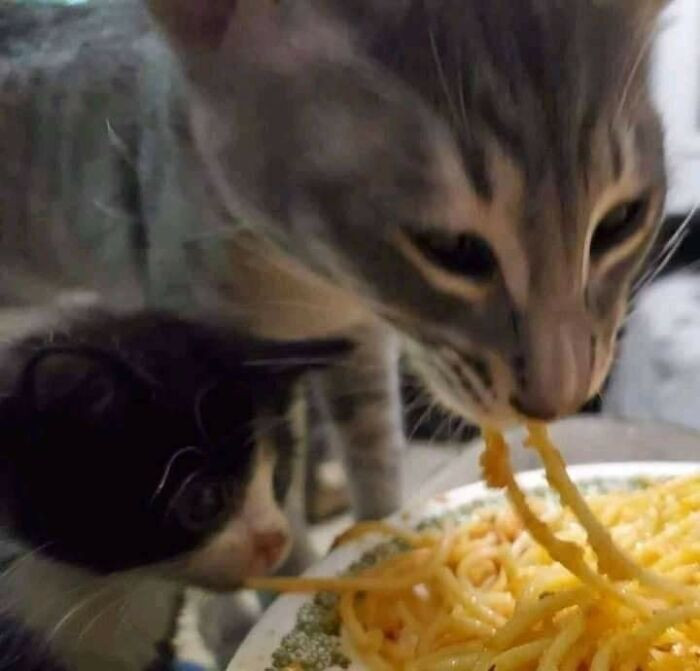 20. I'll have what you're having