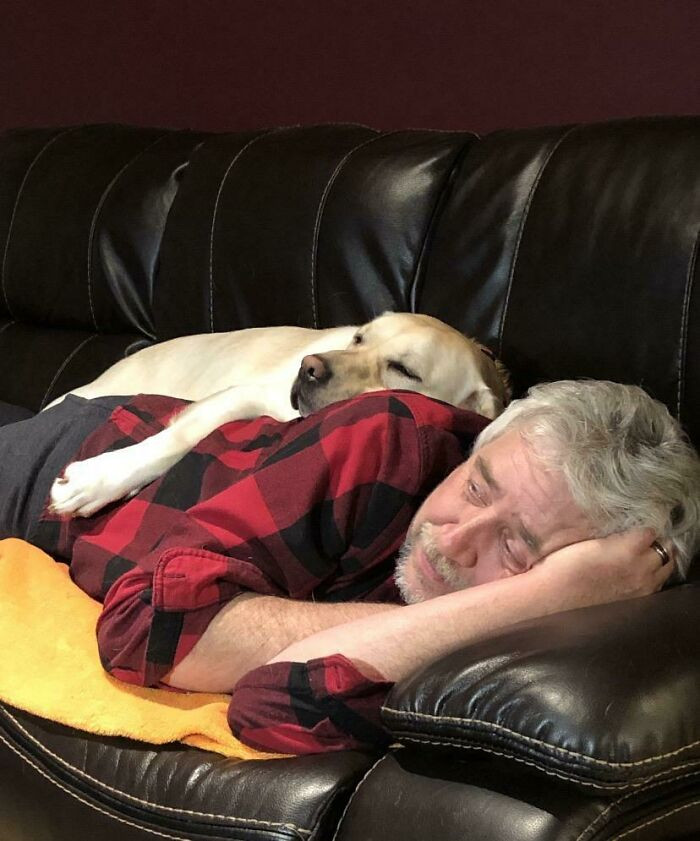 "My Dad: No, We’re Not Getting Another Dog!! Also My Dad:"