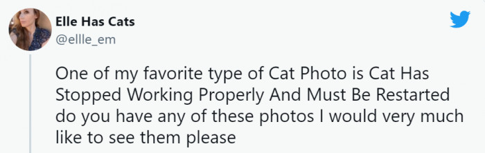 10. Do you also love cats acting like computers?