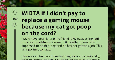 Freeloader Friend Demands Woman Pay For His Gaming Mouse After Her Cat Got Poop On The Cord