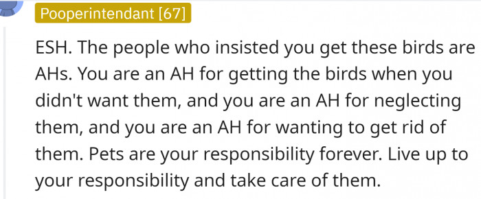 The people who insisted OP get these birds are AHs.