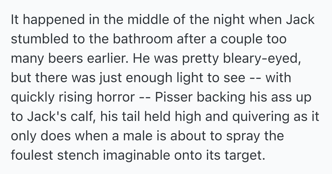 One night, after a few too many beers, Jack stumbled to the bathroom and saw Pisser preparing to spray his leg. In a moment of instinct, Jack retaliated by urinating on the cat, not consciously thinking about his actions.