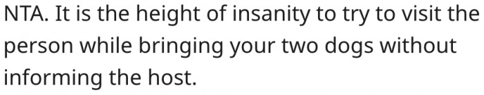 13. It makes no sense to visit someone with two dogs without permission.
