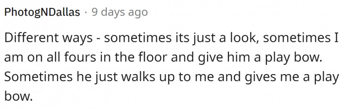 There are tons of ways to get dogs into the zoomies.