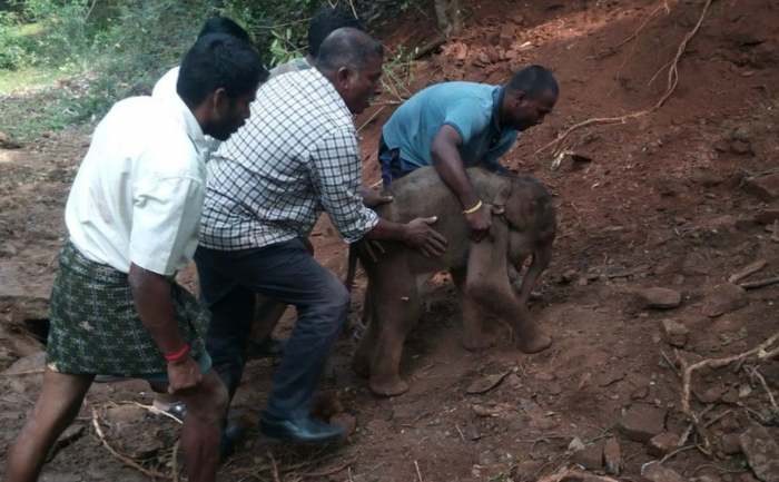 Here we can see the group of rangers who answered the distress call.