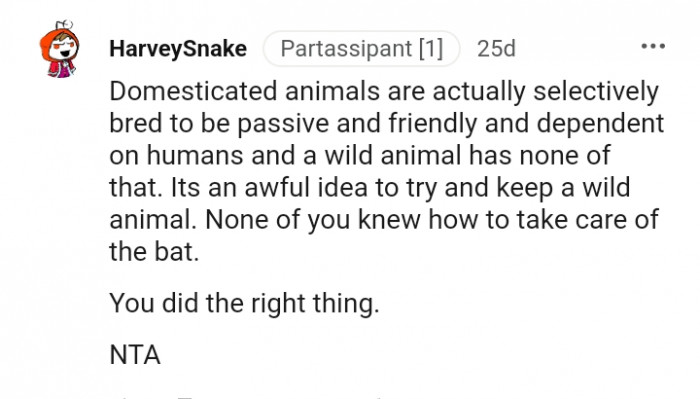 None of you knew how to take care of the bat