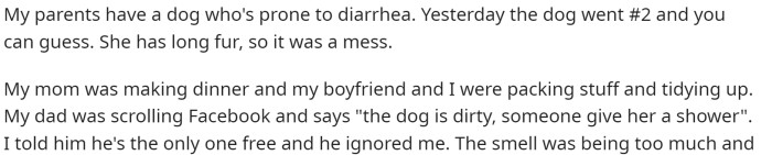 She explains that the parents have a dog who tends to have diarrhea, and this is exactly what happened.
