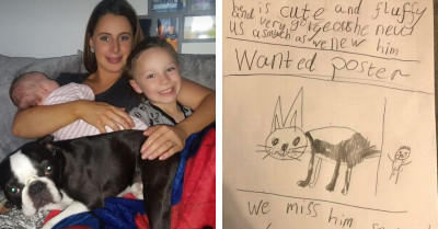 Heartbroken 7 Y.O. Creates 'Wanted' Poster To Find His Stolen Dog