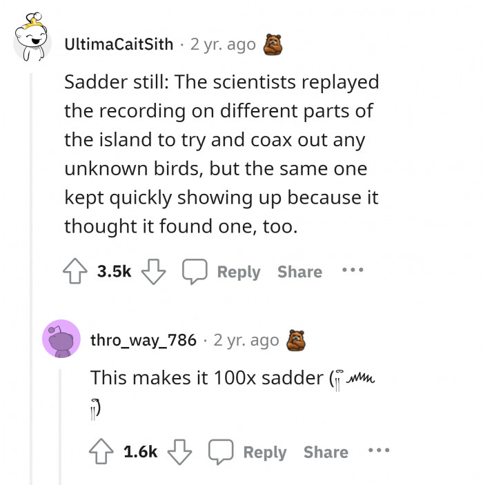 3. Wonder what the scientist would feel at that moment.