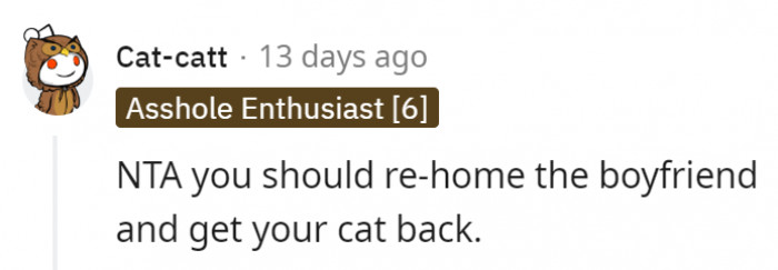 1. It's the boyfriend that needs to be rehomed, not the cat