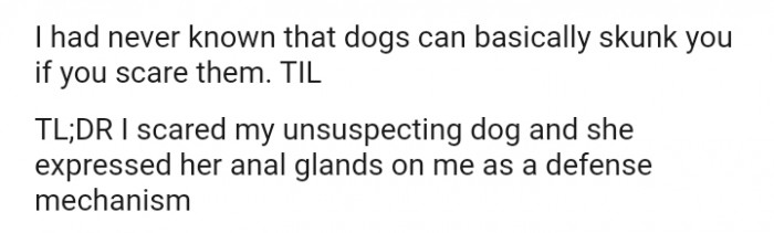 Dogs can basically skunk you if you scare them