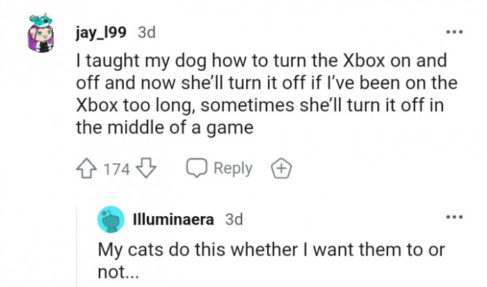 10. My dog turns off the Xbox