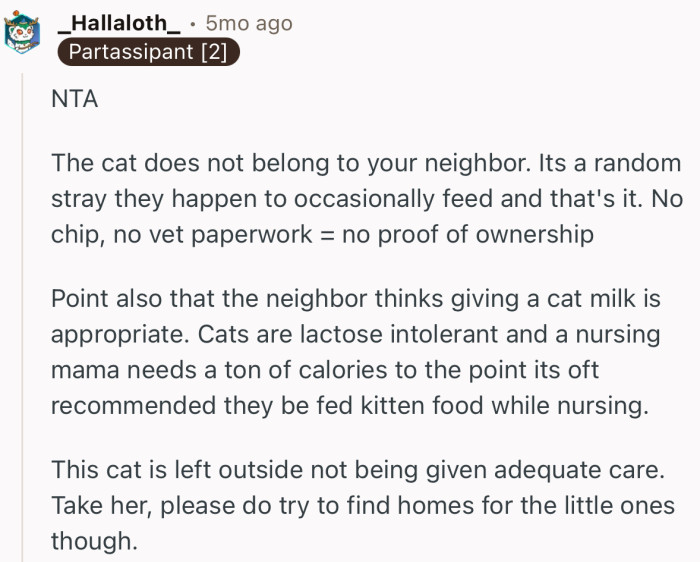 “The cat does not belong to your neighbor. Its a random stray they happen to occasionally feed and that's it.”