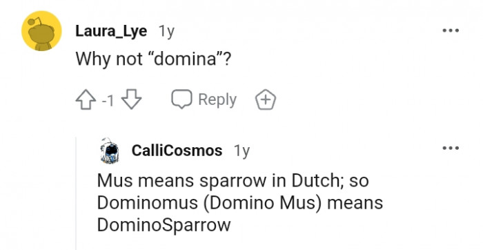 Meaning sparrow in Dutch so domino must means Domino sparrow