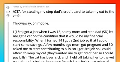 Trouble Looms As Boy Steals His Stepdad's Credit Card To Pay For His Cat's Vet Bills