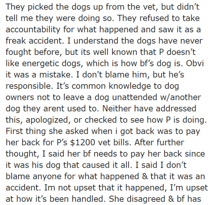 The OP's roommate and the roommate's boyfriend insist that they're not at fault.