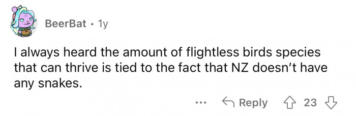 The lack of snakes justifies the booming bird population.