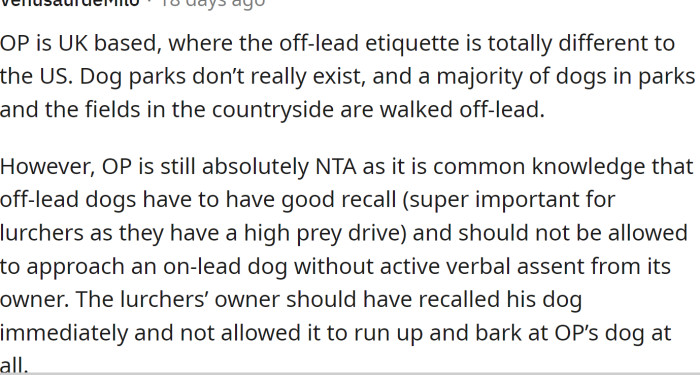 Off-lead etiquette is totally different in the UK