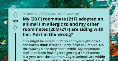 Allergic Girl Shocked By Her Roommate Adopting Rabbit Without Consulting and By Other Roommates Taking Her Side