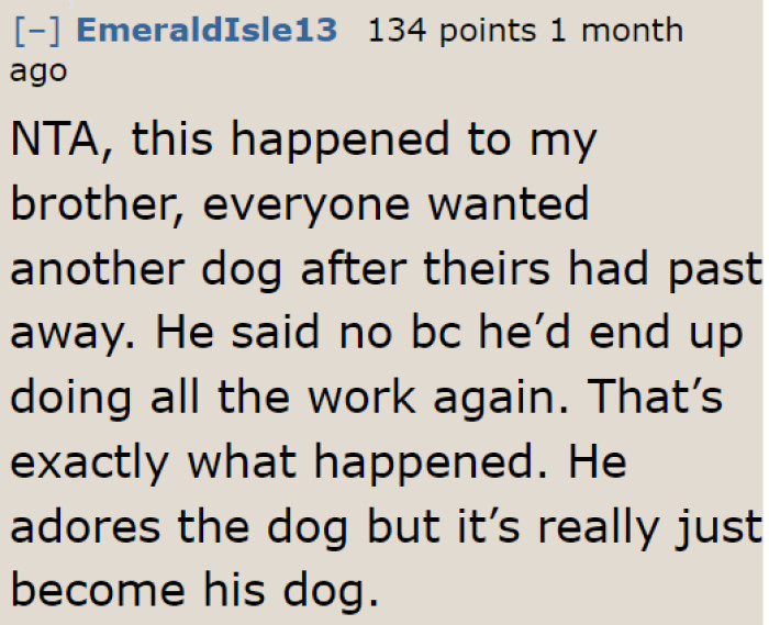 The OP might end up caring for the dog because the kids won't make an effort.
