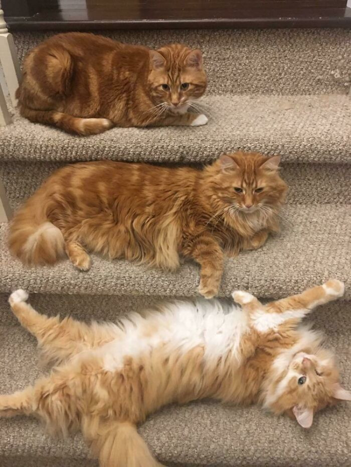 "The Three Levels Of Lazy"