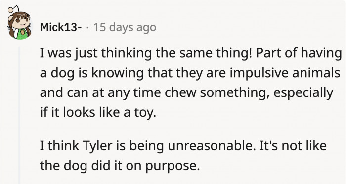 Assuming that the dog is impulsive, it wouldn’t be his fault for trying to get the toy