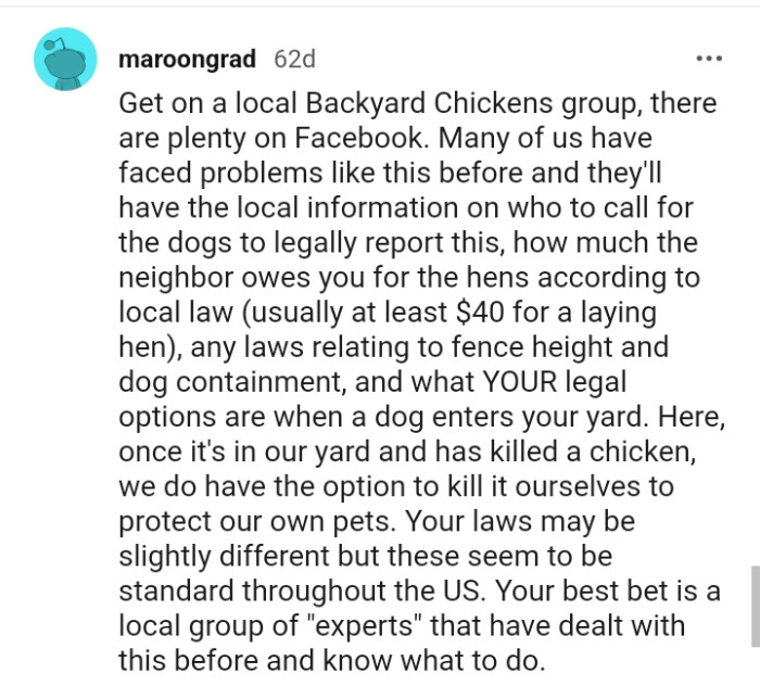 This Redditor advises the OP to join a local backyard chickens group
