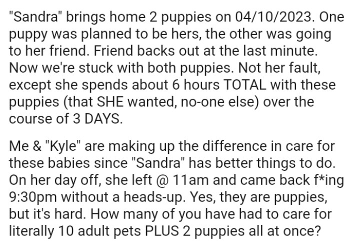 The boyfriend's mom spends about 6 hours TOTAL with these puppies over the course of three days