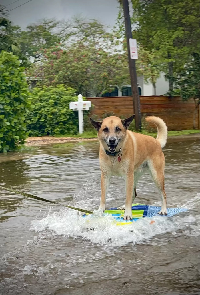 The small South Florida waves weren’t quite strong enough to propel the board