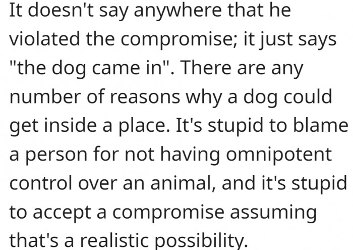 Dogs love to explore.