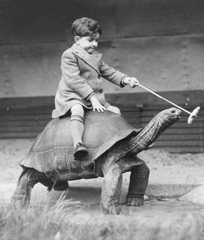 "A boy and his turtle, 1937."