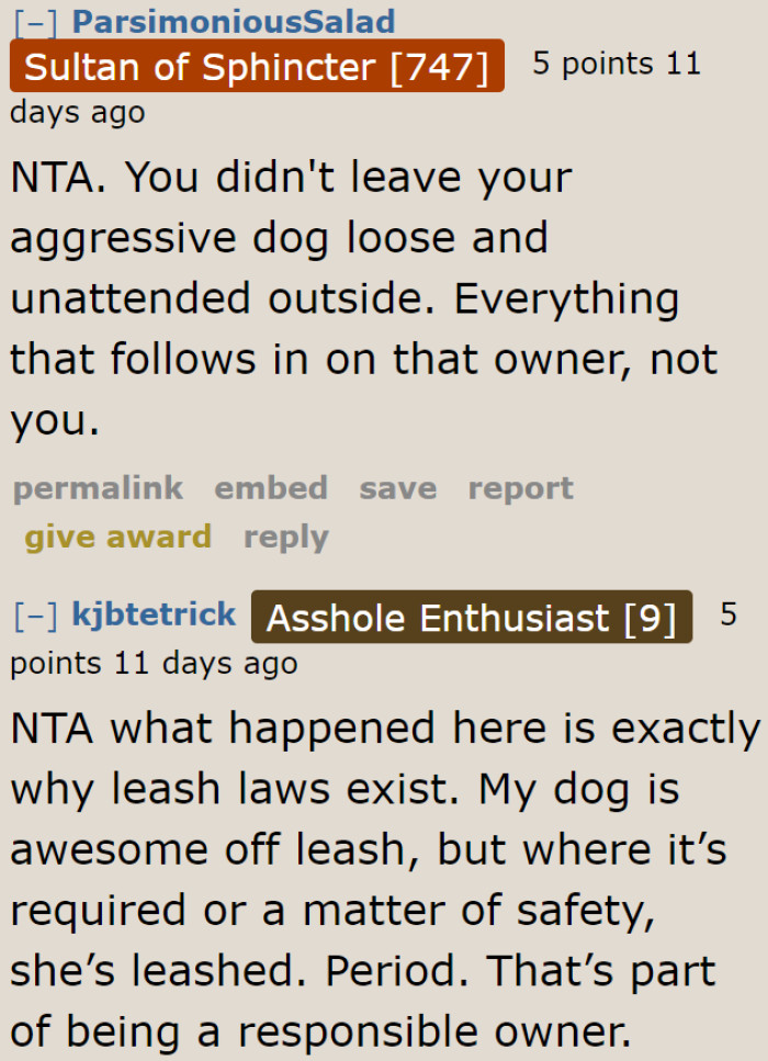 Woman Reports A Neighbor With An Unleashed Dog That Attacked Her Pet