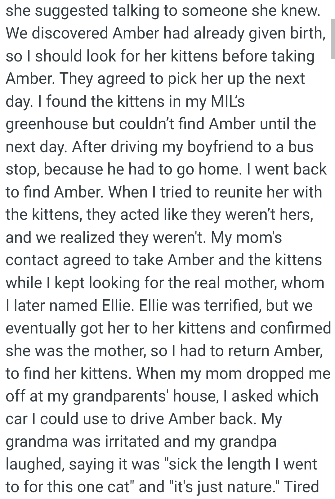 The OP went back to find the cat