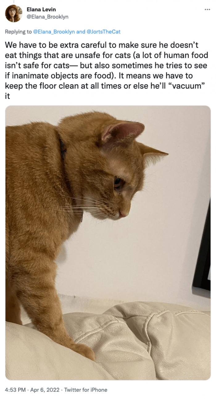 If you can't correct it right away, it's better to keep them away from harm until you can teach them to get it under control.