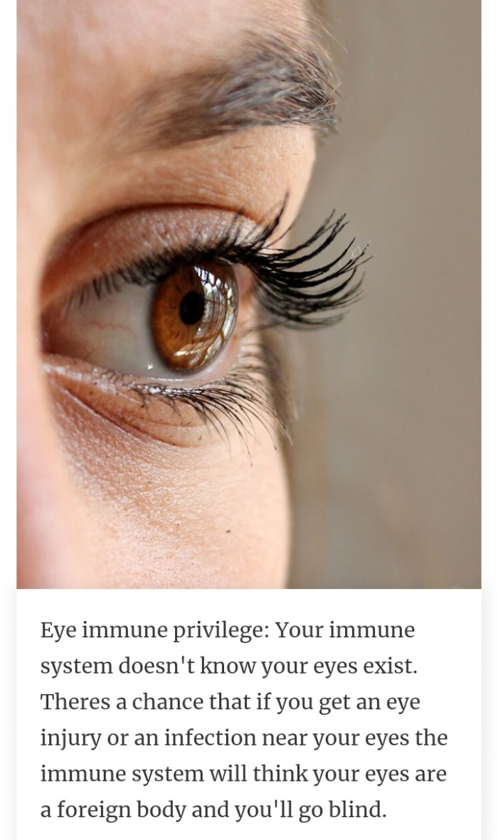 12. The immune privilege of the eye