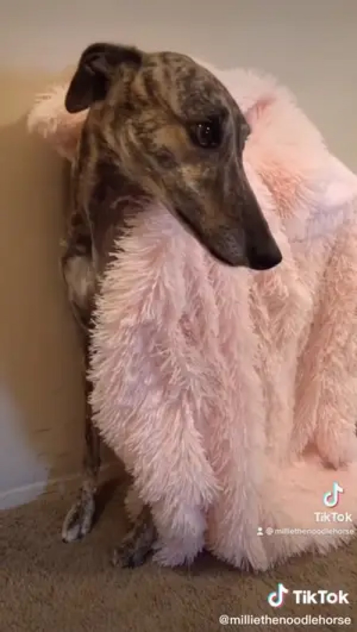 So if you accidentally hurt them, it's best to say sorry immediately.