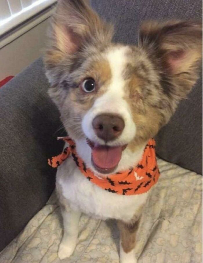 "One-Eyed Cutie"