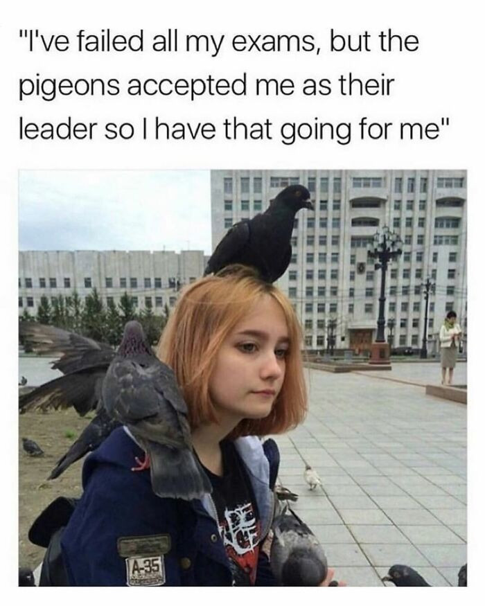 6. Every door closes, but sometimes the pigeons open one.