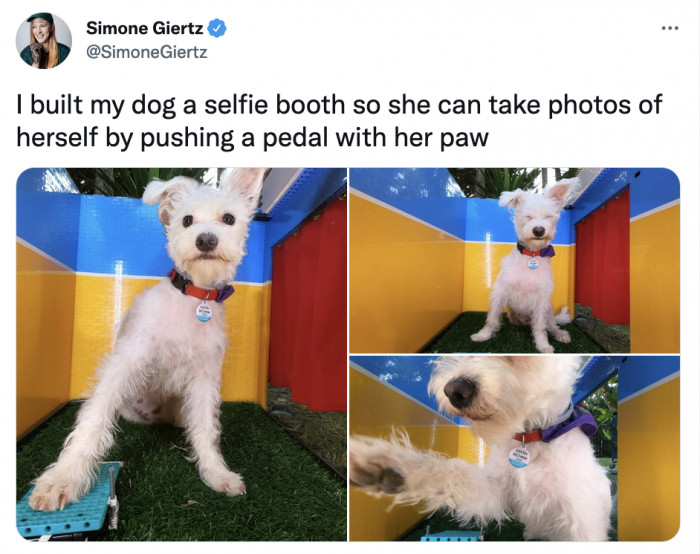 13. Absolutely the best self-portrait in existence