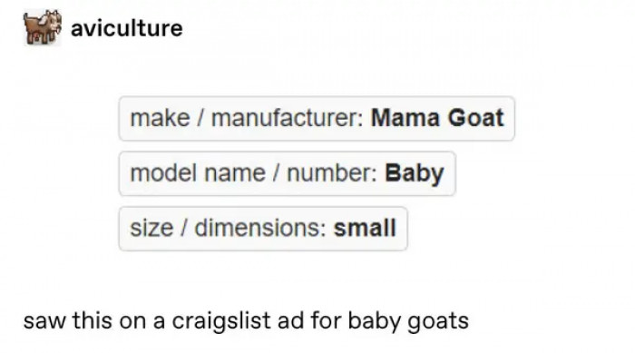 16. Want to get a baby goat off Craigslist?