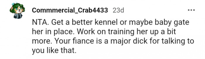 13. Work on training her up a bit more