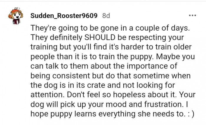 Do not feel so hopeless about it