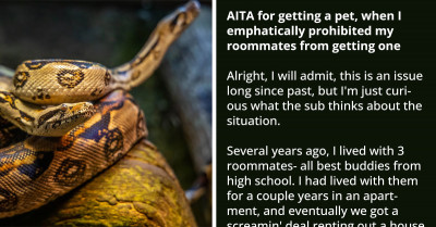 Redditor Wants To Know If He's An AH For Getting A Pet After Prohibiting His Roommates From Getting A Dog And A Cat