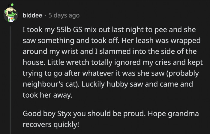 Not all dogs are like Styx, who can snap out of chase mode and go into hero mode.