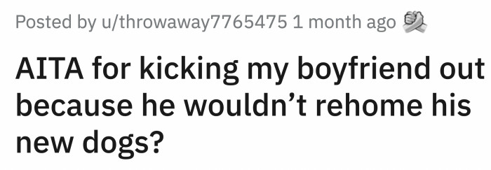 After his dog died, Sam bought three dogs without letting OP know