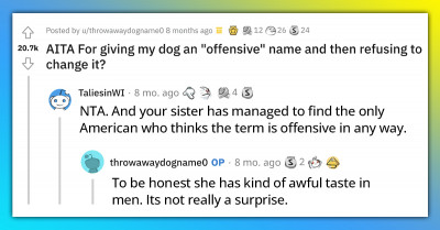 Man From Europe Names His American Akita “Yankee” And Gets Criticized By An American For That