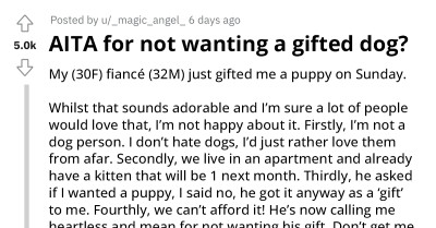 Redditor Asks If Refusing A Gifted Dog Makes Her Heartless